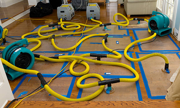 Professional Sewage Cleanup technician working in Bowie, TX